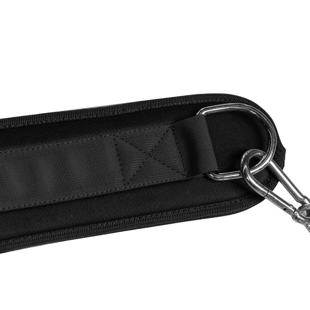 Image of a TFP Fitness Dip belt displayed out over a white background