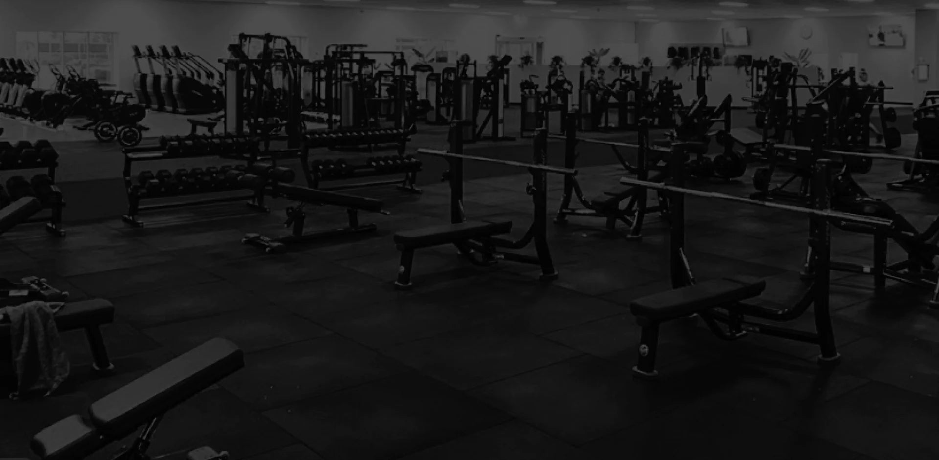 Commercial & Home Gym Equipment North Queensland | TFP Fitness
